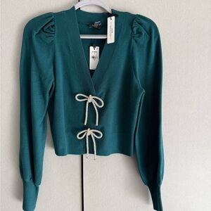 Express Teal V-Neck Sweater